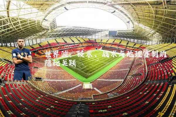 世界波：技术、战术与地理赛制的隐秘关联